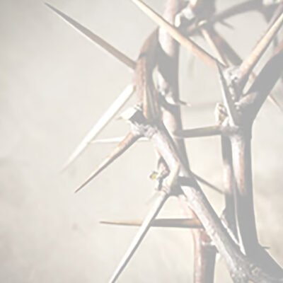 Image for choice number 7